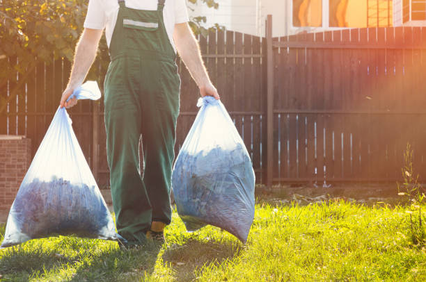 Best Basement Cleanout Services  in Walhalla, SC